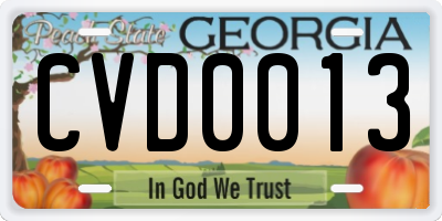 GA license plate CVD0013