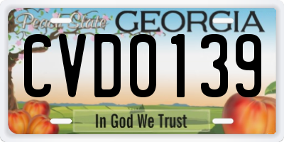 GA license plate CVD0139