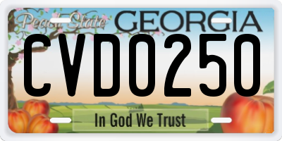 GA license plate CVD0250