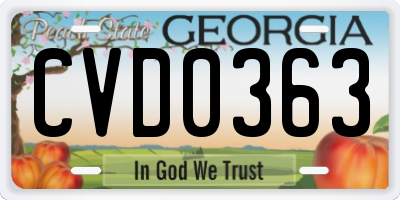 GA license plate CVD0363