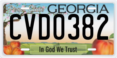GA license plate CVD0382