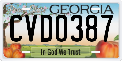 GA license plate CVD0387