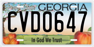 GA license plate CVD0647