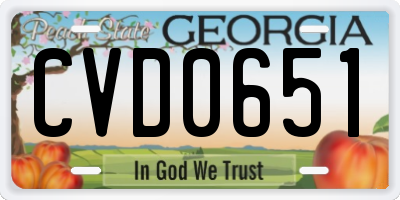 GA license plate CVD0651