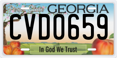 GA license plate CVD0659
