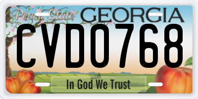 GA license plate CVD0768