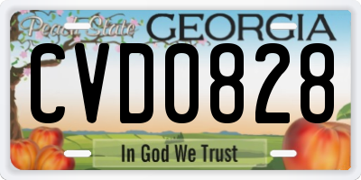 GA license plate CVD0828