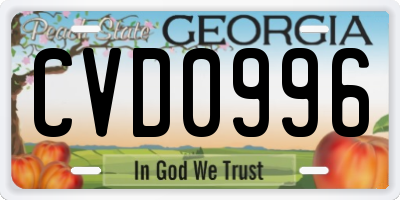 GA license plate CVD0996