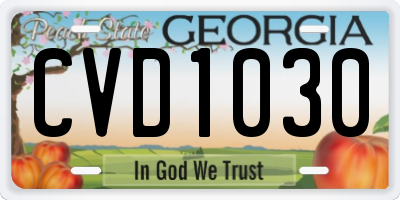 GA license plate CVD1030