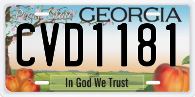 GA license plate CVD1181