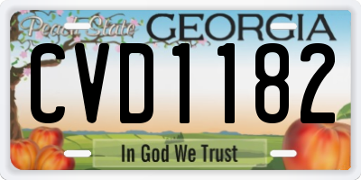 GA license plate CVD1182