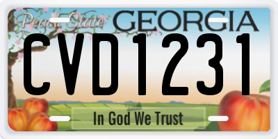 GA license plate CVD1231