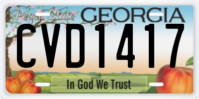 GA license plate CVD1417