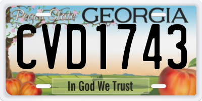 GA license plate CVD1743