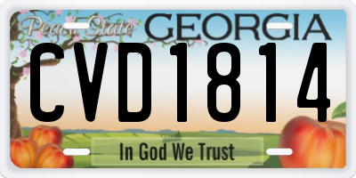 GA license plate CVD1814