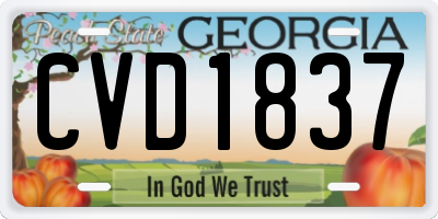 GA license plate CVD1837