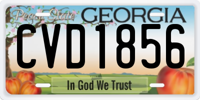 GA license plate CVD1856