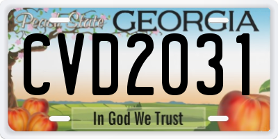 GA license plate CVD2031