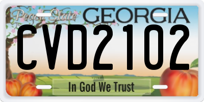 GA license plate CVD2102