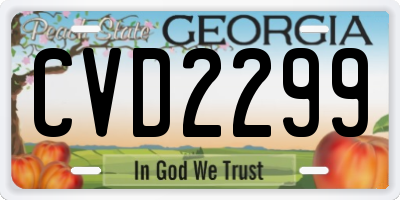 GA license plate CVD2299