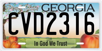 GA license plate CVD2316