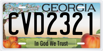 GA license plate CVD2321