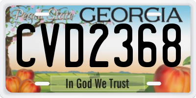 GA license plate CVD2368