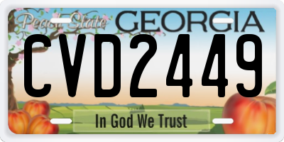GA license plate CVD2449