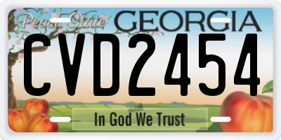 GA license plate CVD2454
