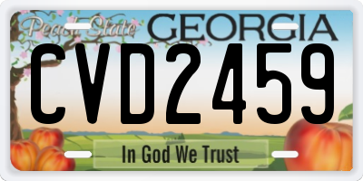 GA license plate CVD2459