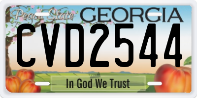 GA license plate CVD2544
