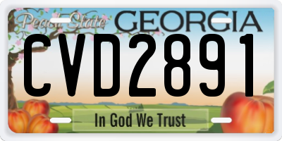GA license plate CVD2891