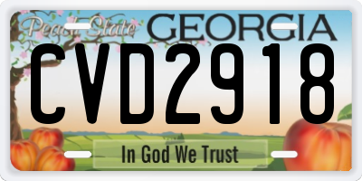 GA license plate CVD2918