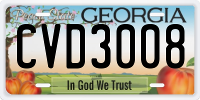 GA license plate CVD3008