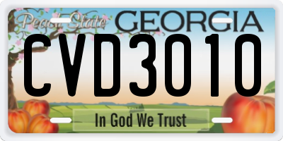 GA license plate CVD3010