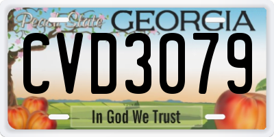 GA license plate CVD3079