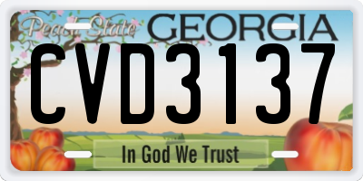 GA license plate CVD3137
