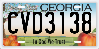 GA license plate CVD3138