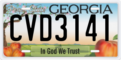 GA license plate CVD3141