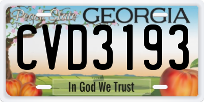 GA license plate CVD3193
