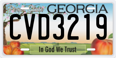 GA license plate CVD3219
