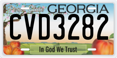 GA license plate CVD3282