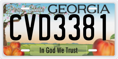 GA license plate CVD3381