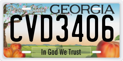 GA license plate CVD3406