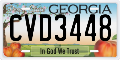 GA license plate CVD3448