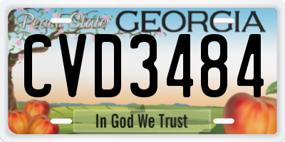 GA license plate CVD3484