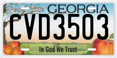 GA license plate CVD3503