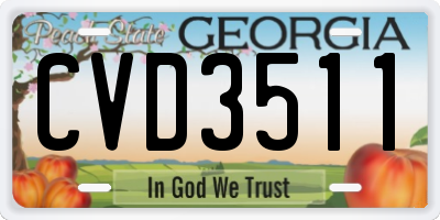 GA license plate CVD3511