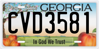 GA license plate CVD3581