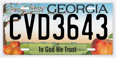 GA license plate CVD3643